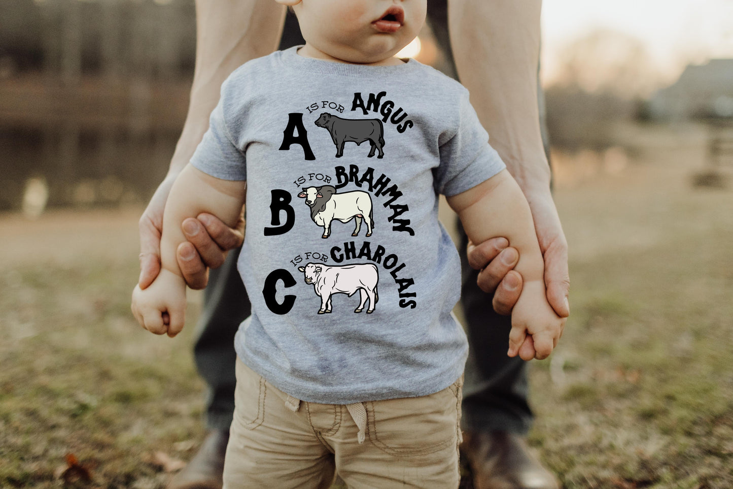 -Kids- ABC CATTLE